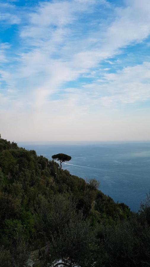 Yourhome - Relais Casa Degli Angeli โปซิตาโน ภายนอก รูปภาพ